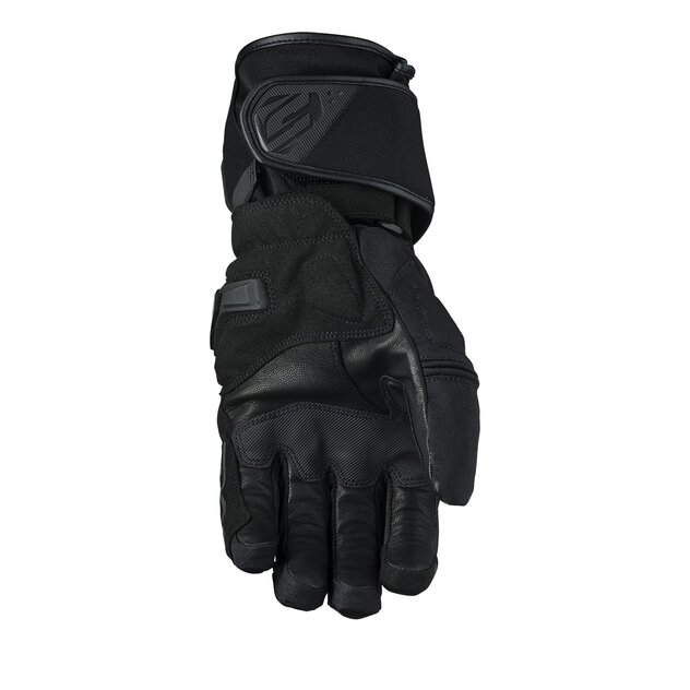 sport_wp_black_2019_palmajlkuphucks-