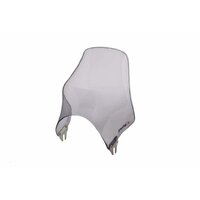 PUIG PLEXI NAKED ZATMAVENÉ UNIVERZÁLNE PLEXI